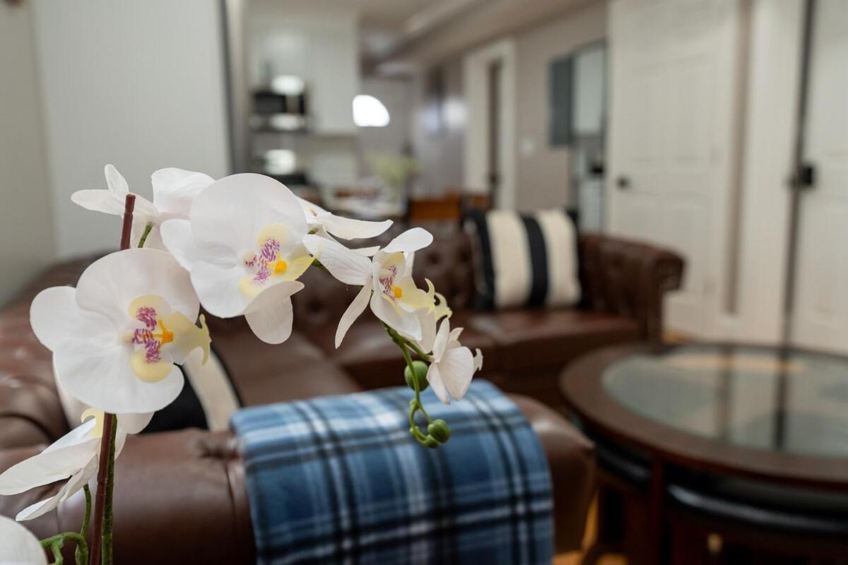 558-3 3br - Modern Nest Near Franklin Park